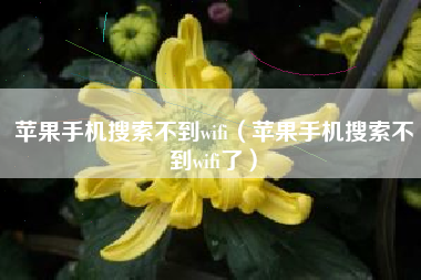 苹果手机搜索不到wifi(苹果手机搜索不到wifi了)